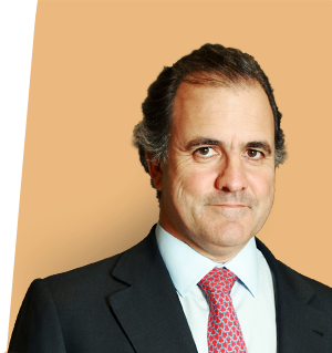 António Pires de Lima<br>Presidente da Direção da EPIS (2010 a 24 Julho de 2013)